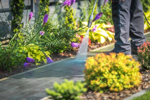 Best Residential Pressure Washing in Orinda, CA